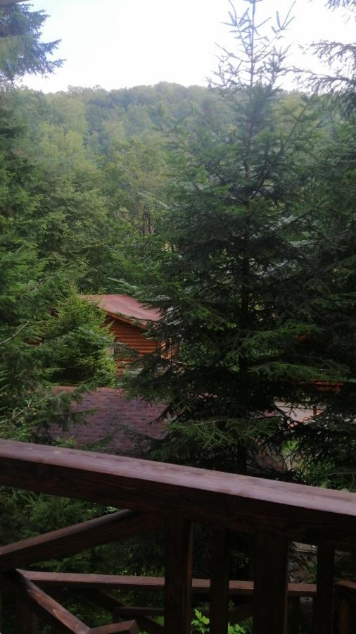 Hotel Yavir Yaremche Exterior foto
